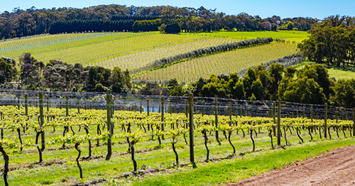 High-risk industries under the microscope during inspections of Mildura and Mornington Peninsula businesses