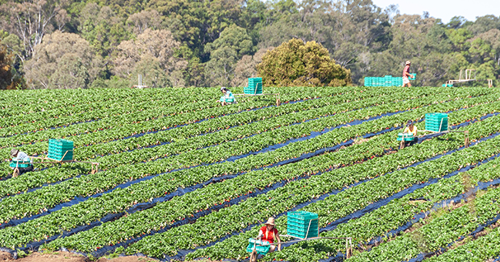 Changes to labour hire accommodation regulations in February 2023