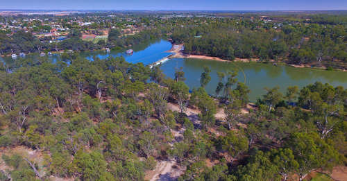 Mildura citrus growers on notice, after alleged non-compliance found at LHA site visits