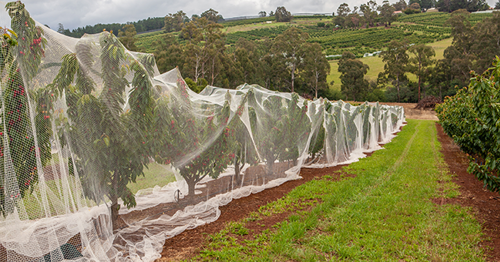 Media Release: Safety a focus of farm visits