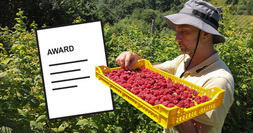 Providers should be aware of changes to entry-level classifications in the Horticulture Award