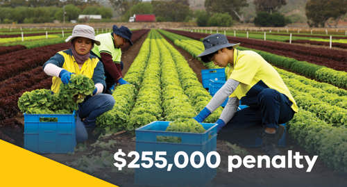 Penalties totalling $255,000 imposed for unlicensed operation following LHA investigation into overcrowded accommodation
