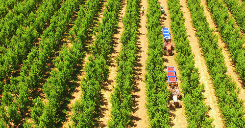 Is it time to renew your licence?