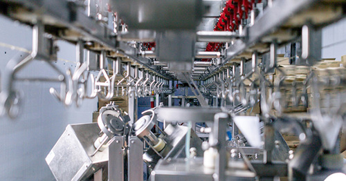Tackling non-compliance in the meat and poultry processing industries