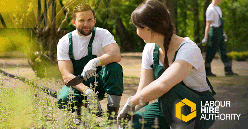 Welcome to the April 2026 edition of LHA News